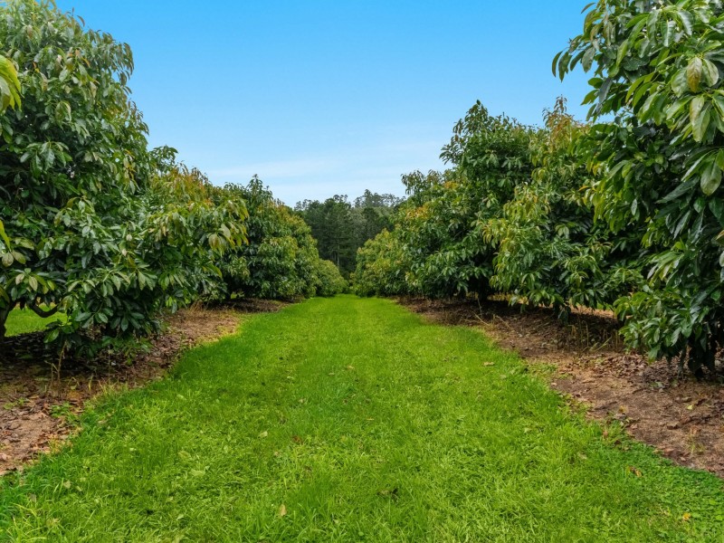 578 Mountain Top Road, Mountain Top NSW 2480