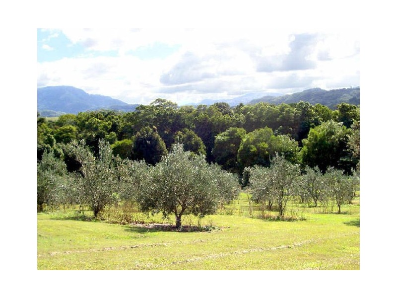 Mullumbimby NSW 2482