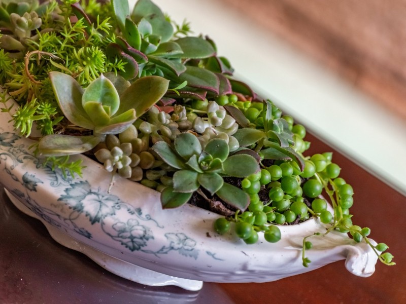 98 Dibbs Street, Lismore NSW 2480