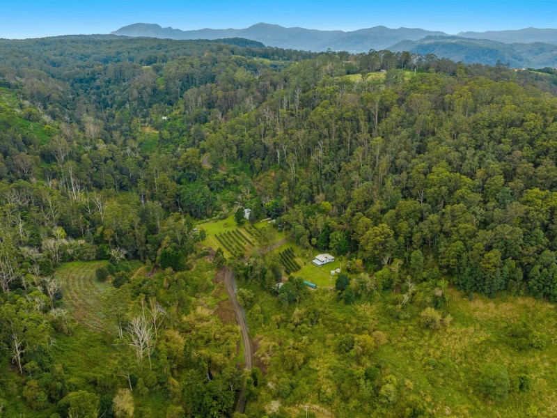 280 Davis Road, Jiggi NSW 2480
