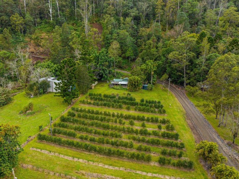 280 Davis Road, Jiggi NSW 2480