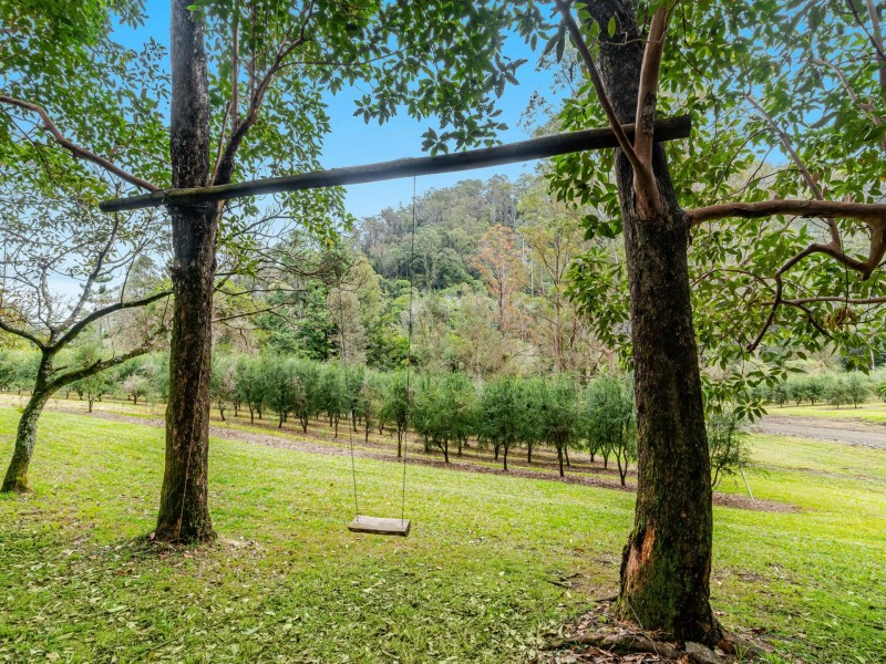 280 Davis Road, Jiggi NSW 2480