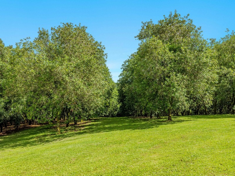 206 Repentance Creek Road, Rosebank NSW 2480