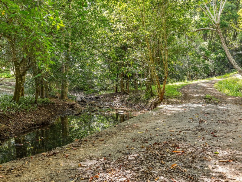 206 Repentance Creek Road, Rosebank NSW 2480