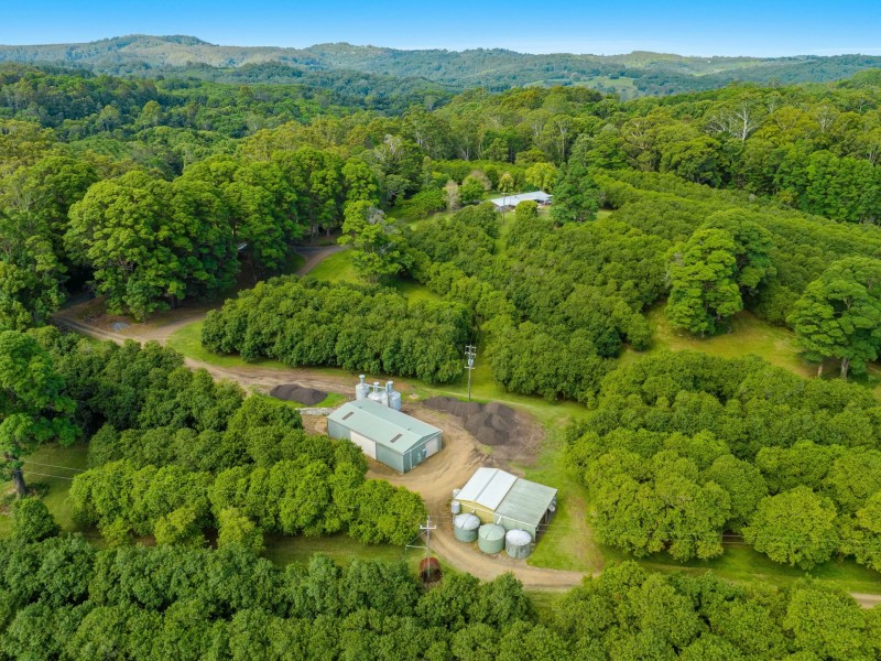 206 Repentance Creek Road, Rosebank NSW 2480