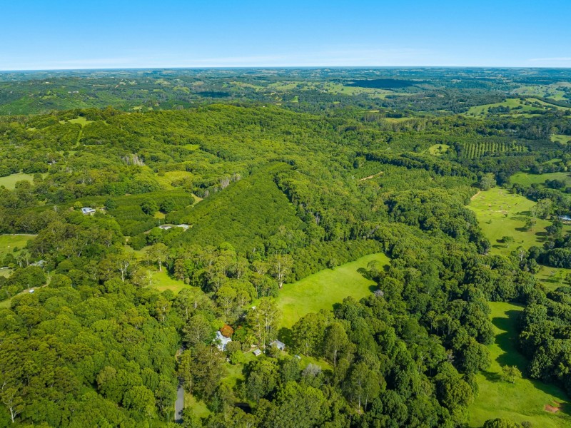 206 Repentance Creek Road, Rosebank NSW 2480