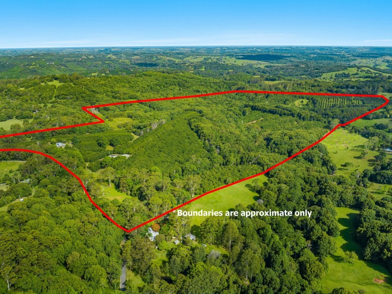 206 Repentance Creek Road, Rosebank NSW 2480