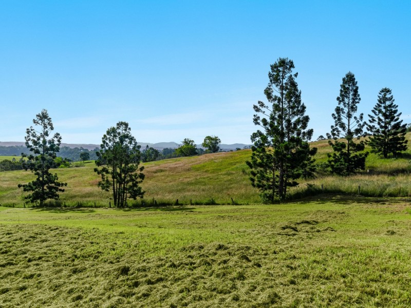 11 Pinecrest Drive, Goonellabah NSW 2480