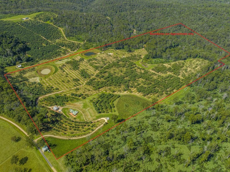 66 Crescent Hills Road, Tabulam NSW 2469