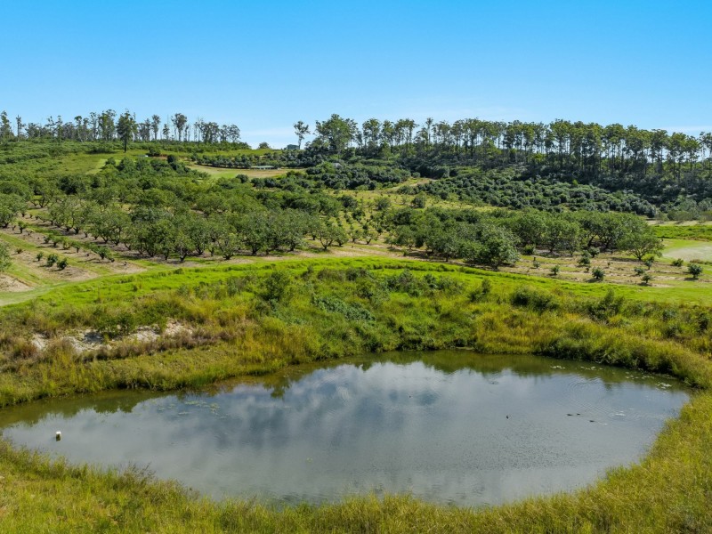 66 Crescent Hills Road, Tabulam NSW 2469