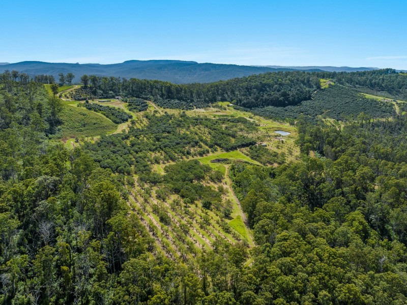 66 Crescent Hills Road, Tabulam NSW 2469