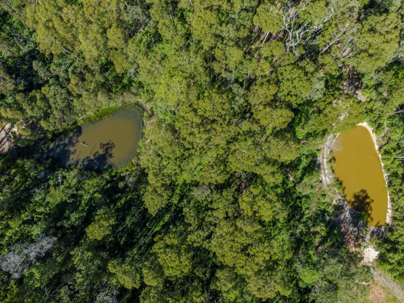 66 Crescent Hills Road, Tabulam NSW 2469