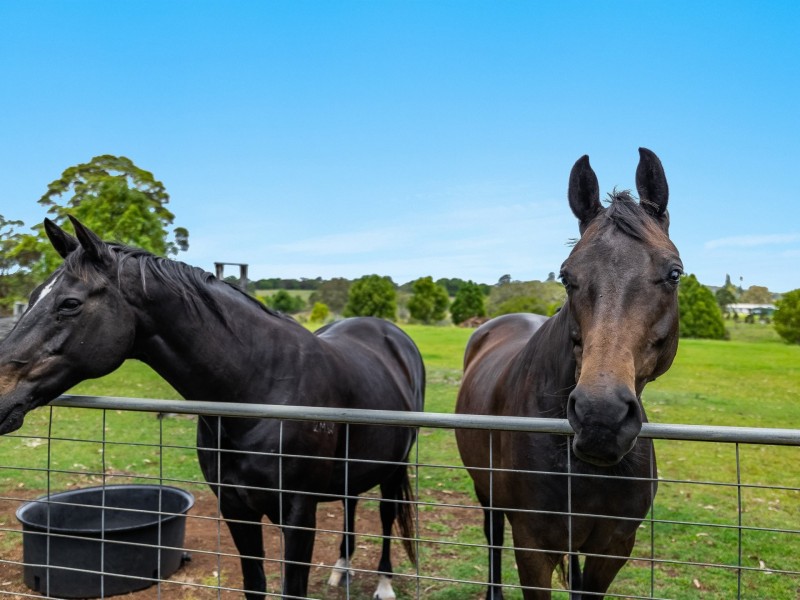 34 Henson Road, Wyrallah NSW 2480