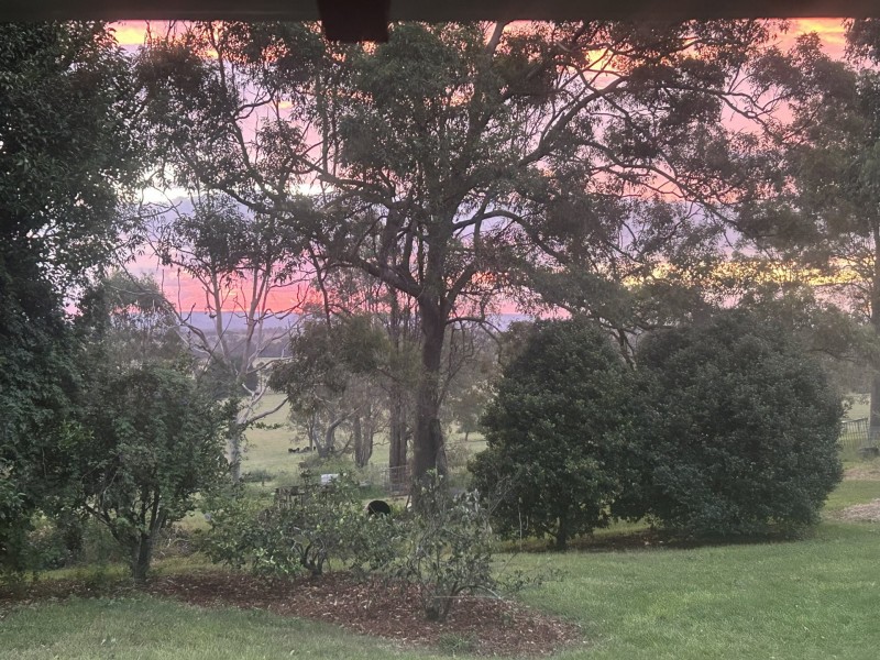 65 Gregors Road, Spring Grove NSW 2470