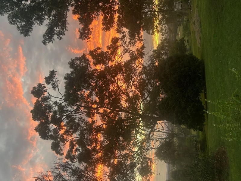 65 Gregors Road, Spring Grove NSW 2470