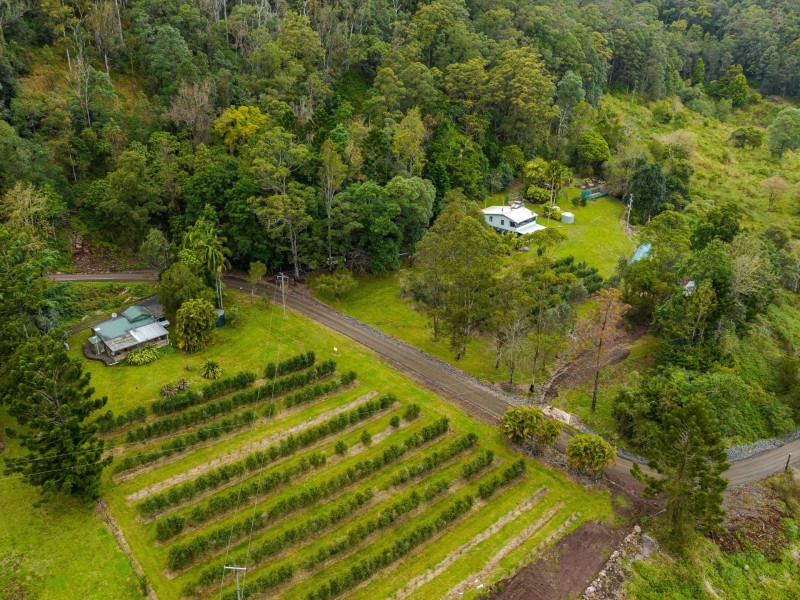 280 Davis Road, Jiggi NSW 2480