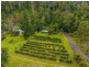 280 Davis Road, Jiggi NSW 2480