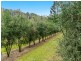 280 Davis Road, Jiggi NSW 2480