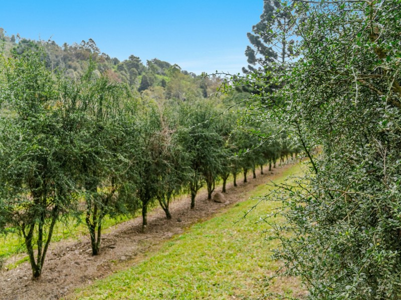 280 Davis Road, Jiggi NSW 2480