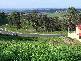 52 Hillcrest Avenue, Goonellabah NSW 2480