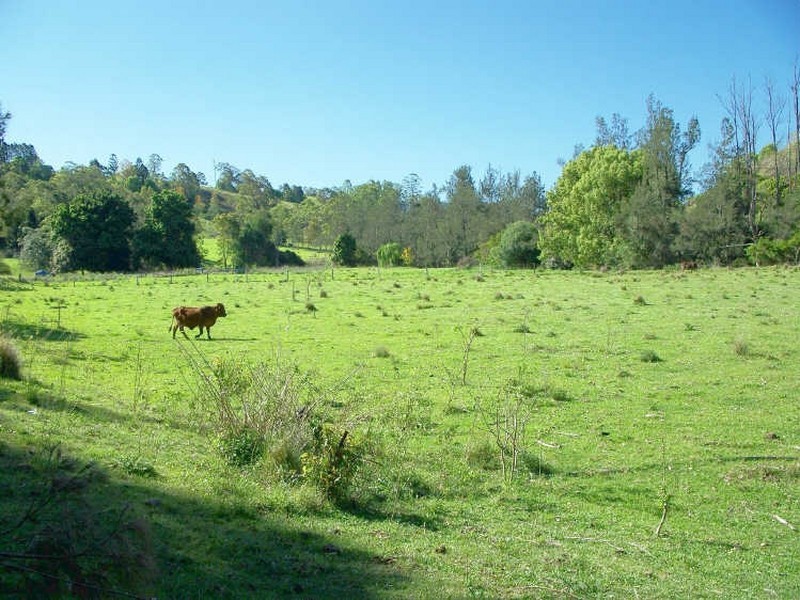 Jiggi NSW 2480