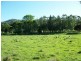 Jiggi NSW 2480