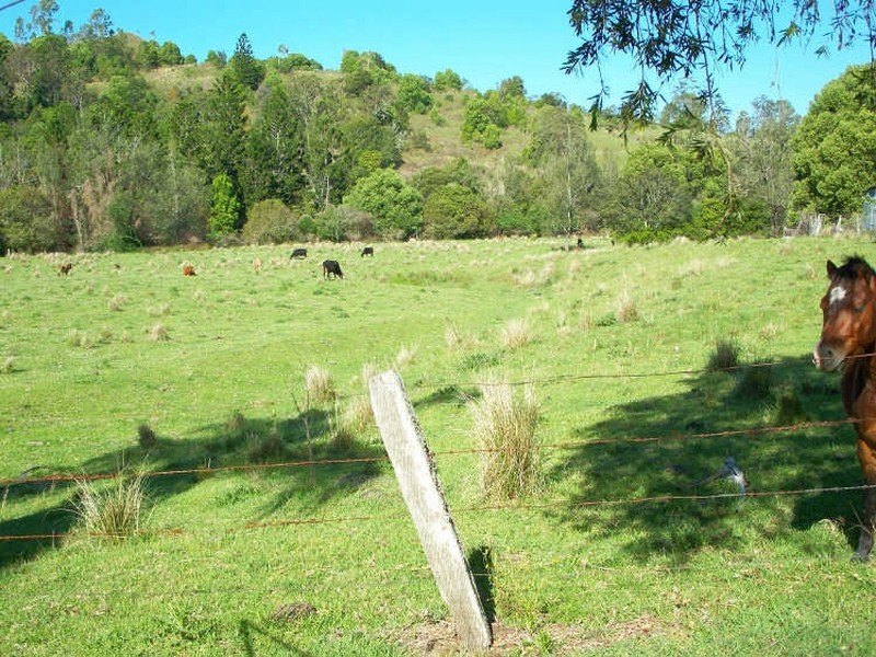 Jiggi NSW 2480