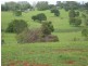 Lot 11/ May Street, Dunoon NSW 2480