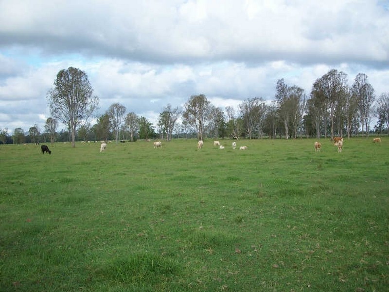 Tatham NSW 2471