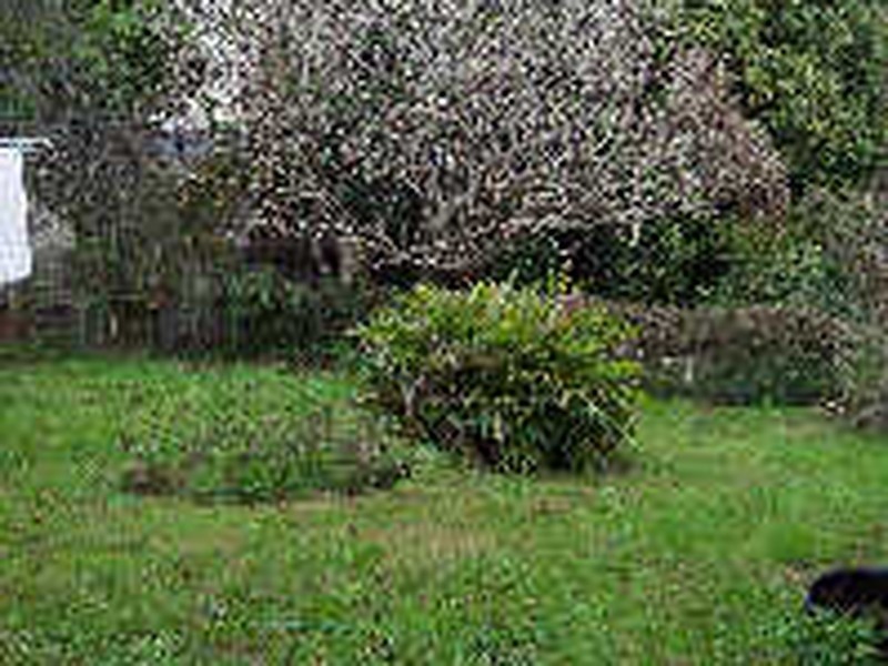135 Laurel Avenue, Lismore NSW 2480