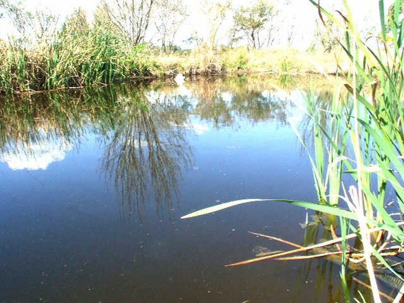 15 Droneys Bridge Road, Casino NSW 2470