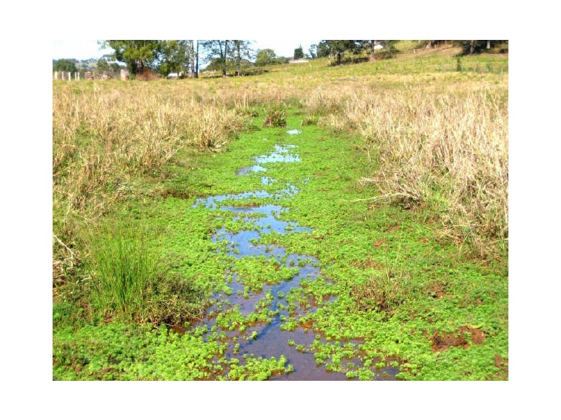 713 Corndale Road, Corndale NSW 2480