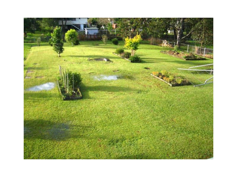 15 Webster Street, Lismore NSW 2480