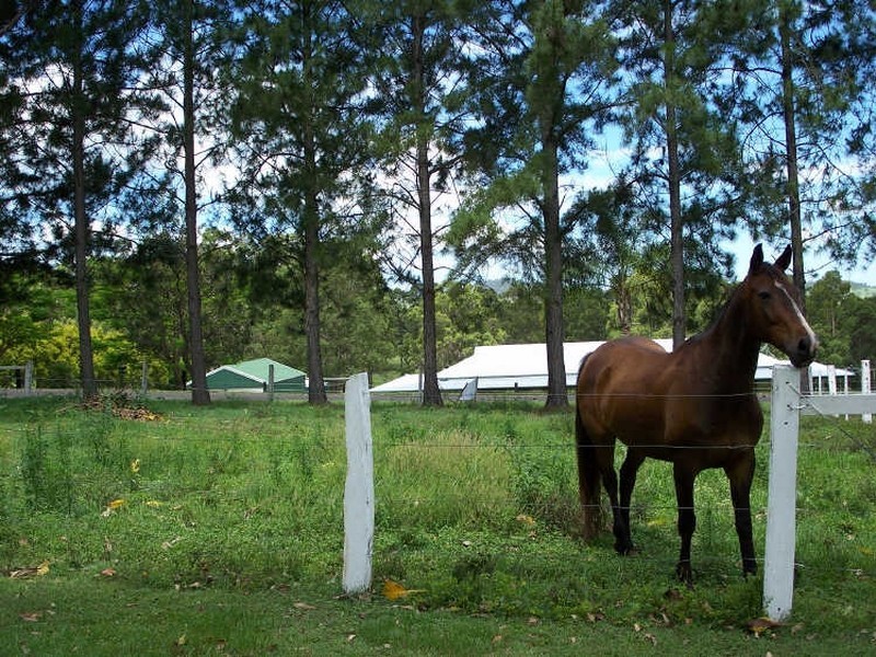 Spring Grove NSW 2470