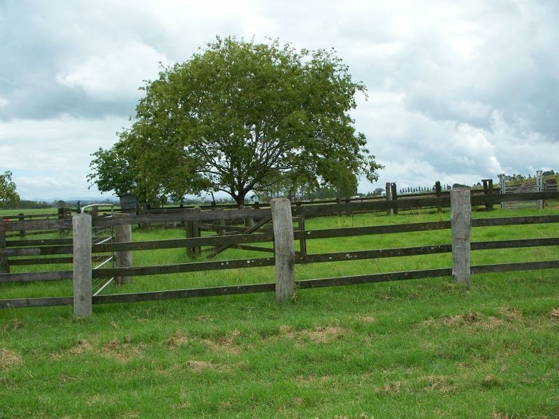 80 Strongs Road, Casino NSW 2470