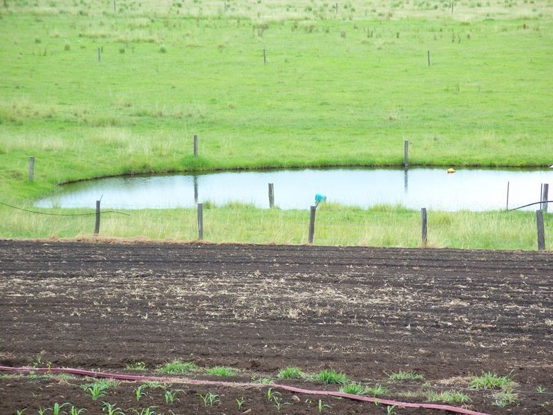 80 Strongs Road, Casino NSW 2470