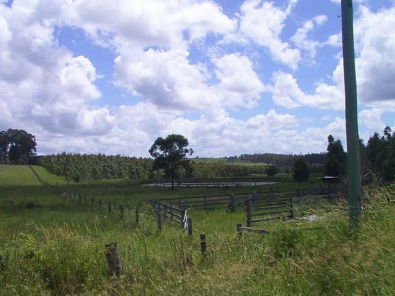 Ellangowan NSW 2470