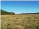 Ellangowan NSW 2470