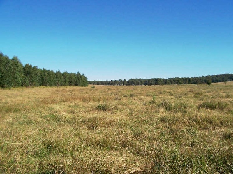 Ellangowan NSW 2470