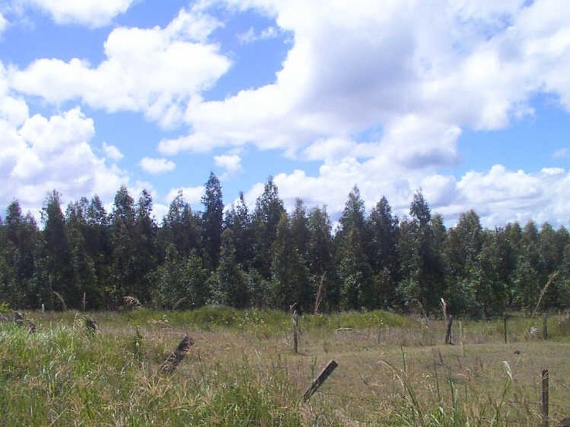 Ellangowan NSW 2470