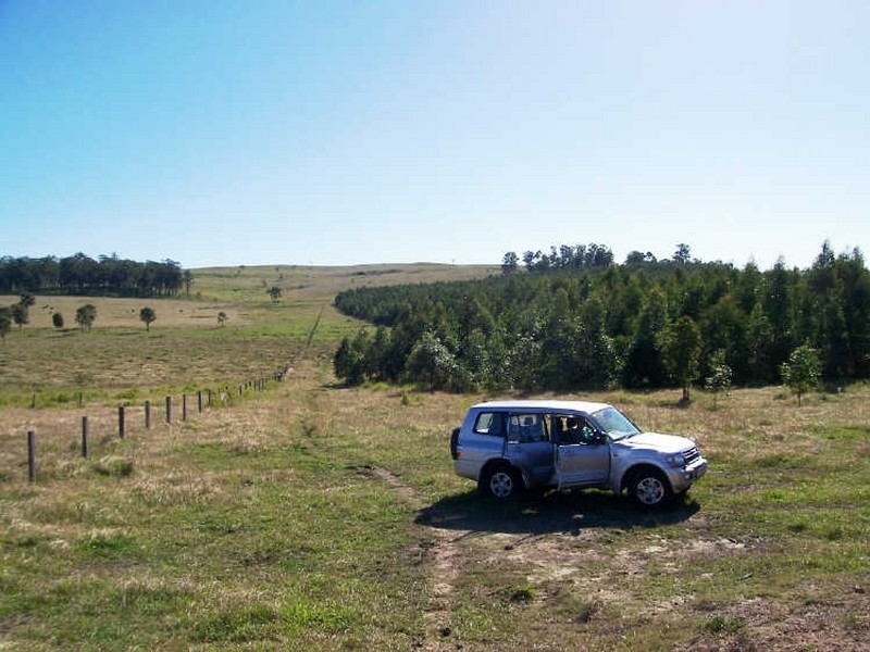 Ellangowan NSW 2470