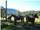Barkers Vale NSW 2474