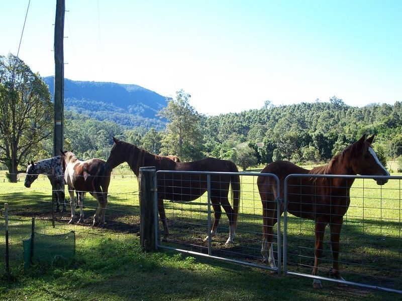 Barkers Vale NSW 2474