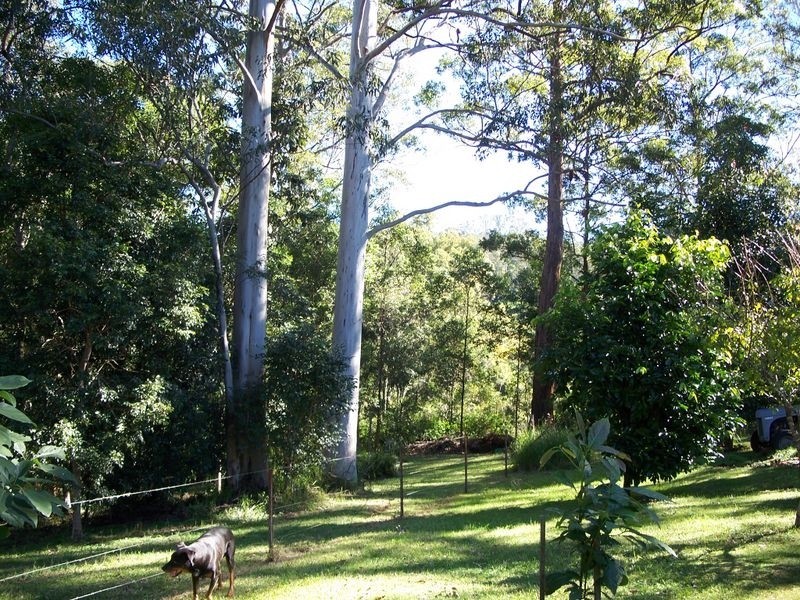 Barkers Vale NSW 2474