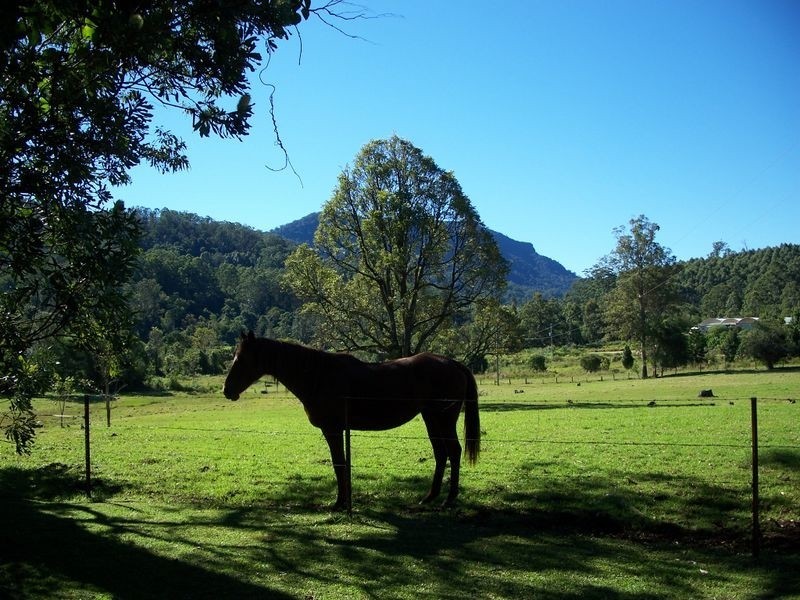 Barkers Vale NSW 2474