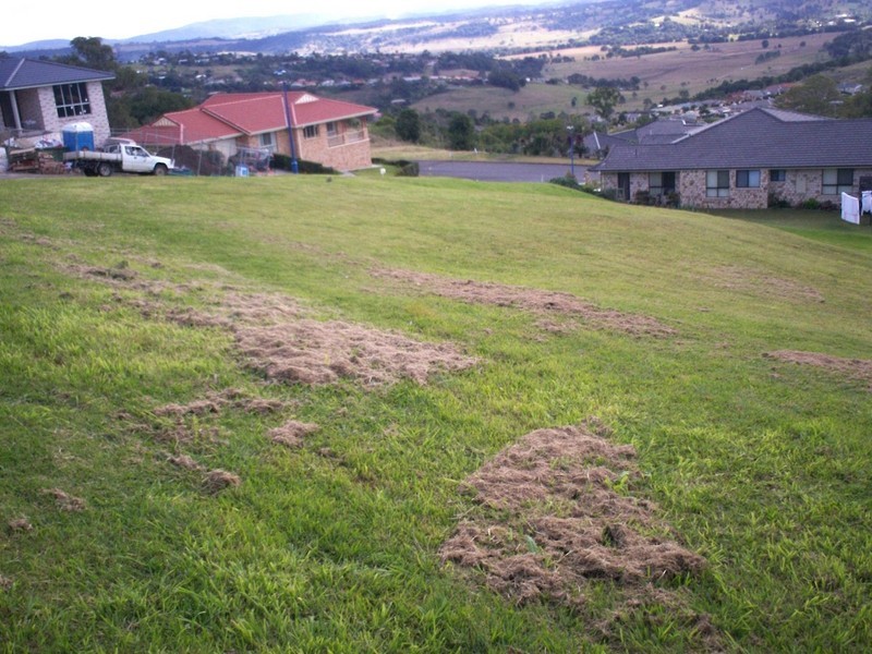 6 Neville Court, Goonellabah NSW 2480