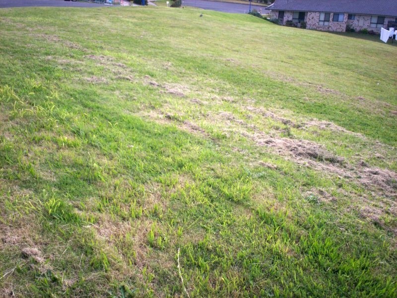 6 Neville Court, Goonellabah NSW 2480