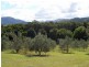 Mullumbimby NSW 2482
