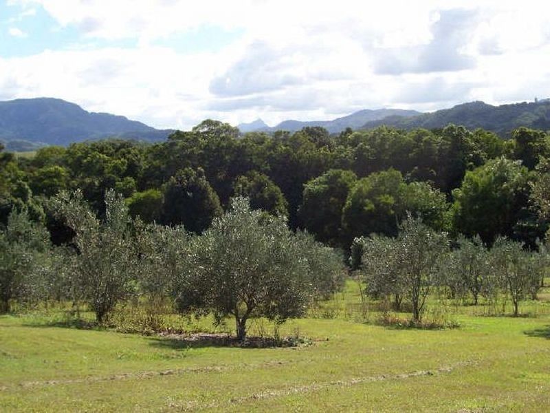 Mullumbimby NSW 2482