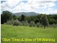 Mullumbimby NSW 2482